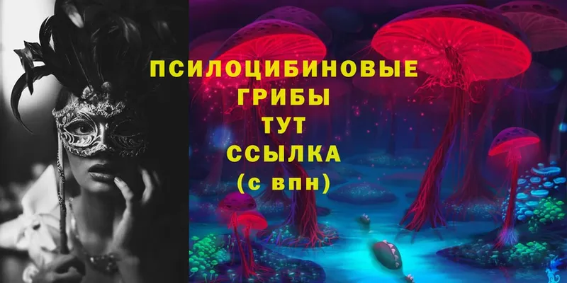 Псилоцибиновые грибы Magic Shrooms  где купить наркоту  hydra ссылка  Чкаловск 