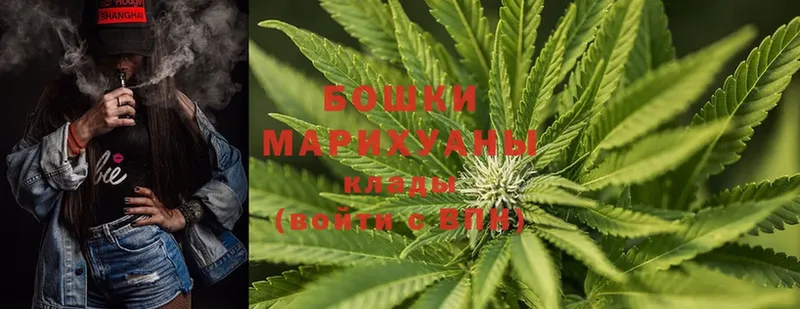 мега как войти  Чкаловск  МАРИХУАНА White Widow 